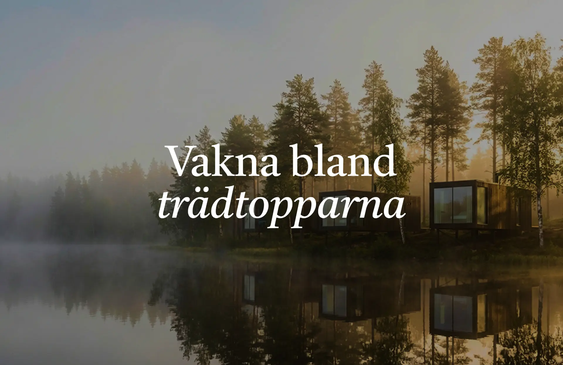 Skogshotellet NØRA